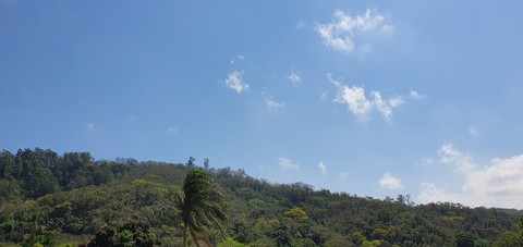 manhã