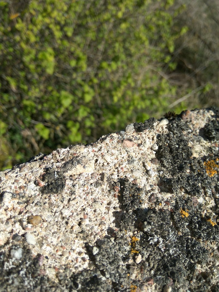 Old concrete