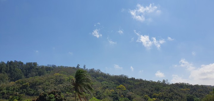 manhã
