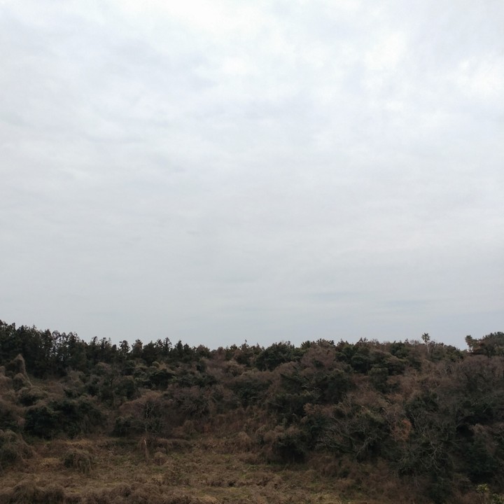 제주도 클리프