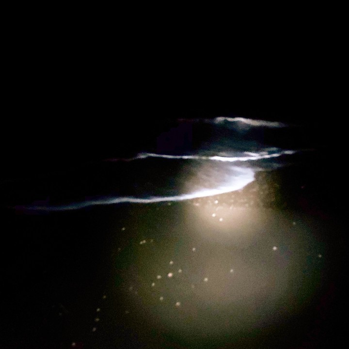 Night at the sea