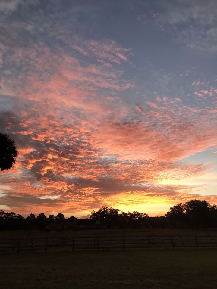 my sunset picture