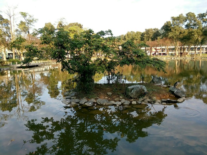 景