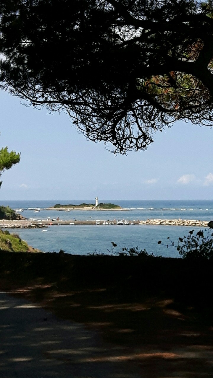 faro