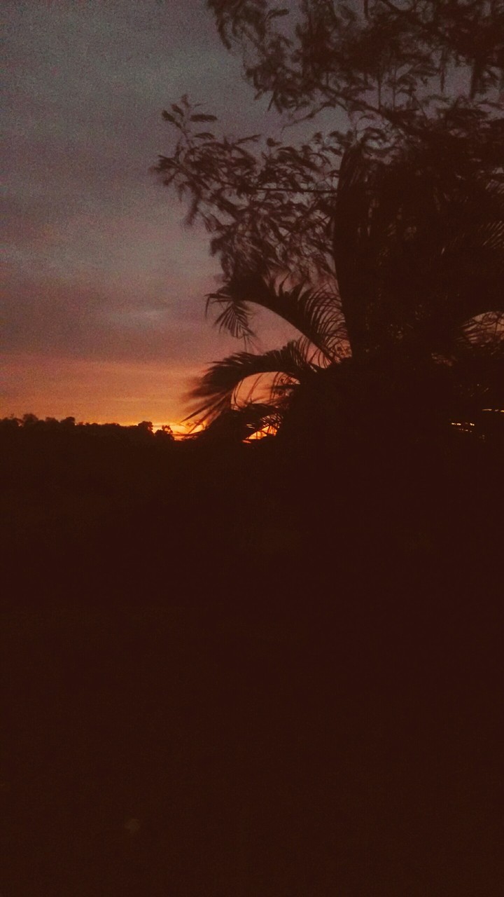 sun