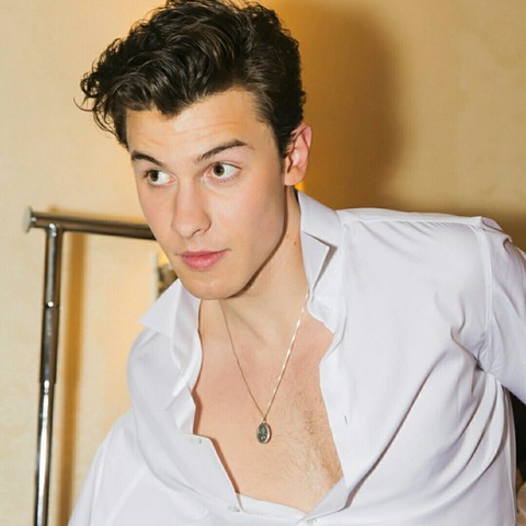 Shawn Mendes