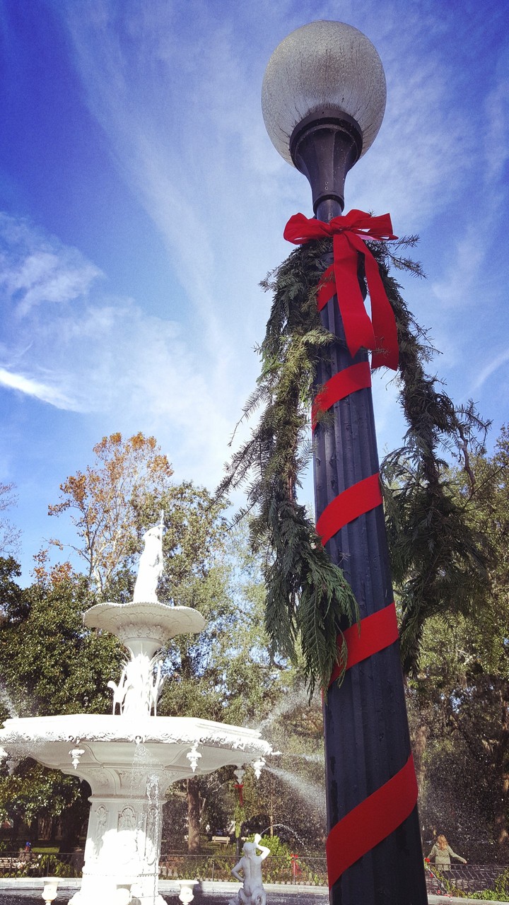 south carolina christmas