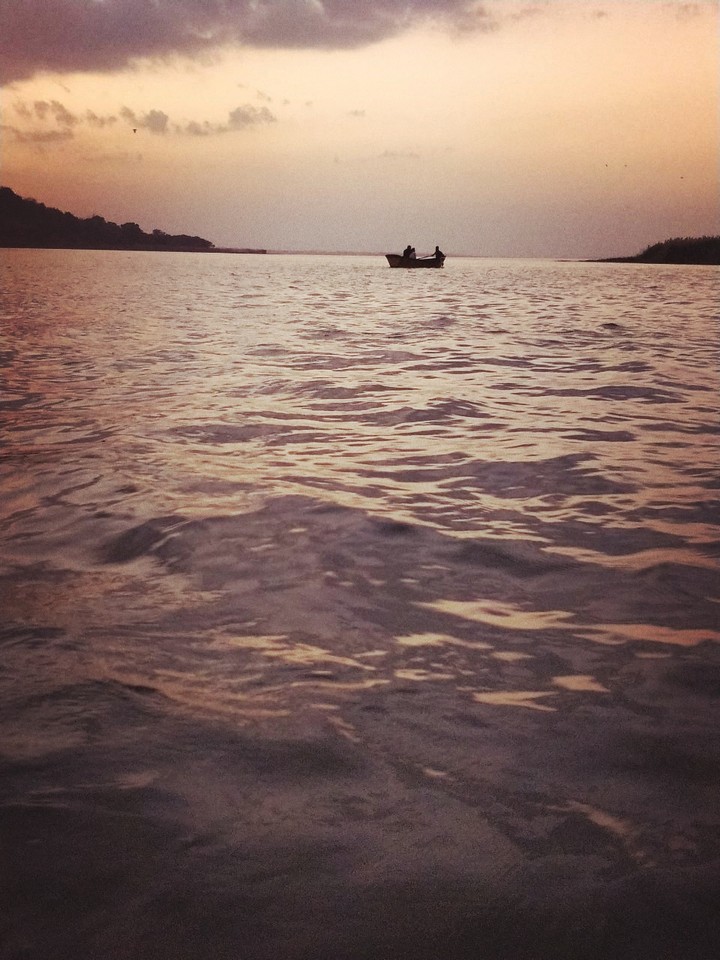 Peace