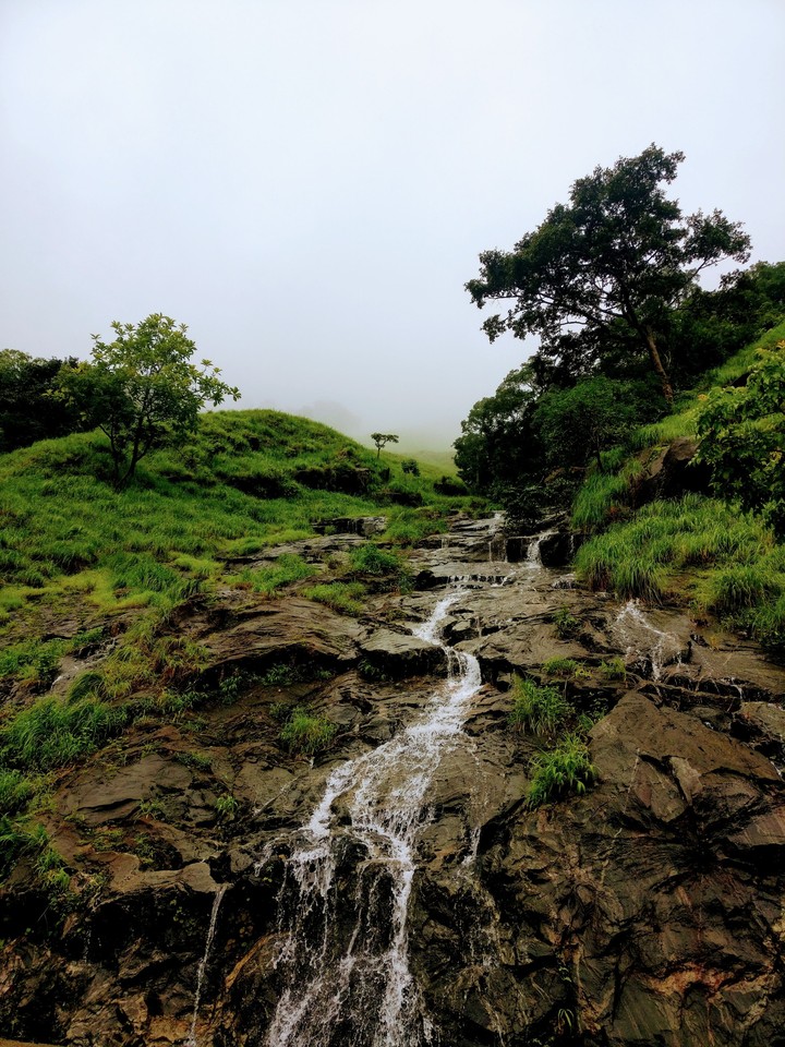 Nature at its best