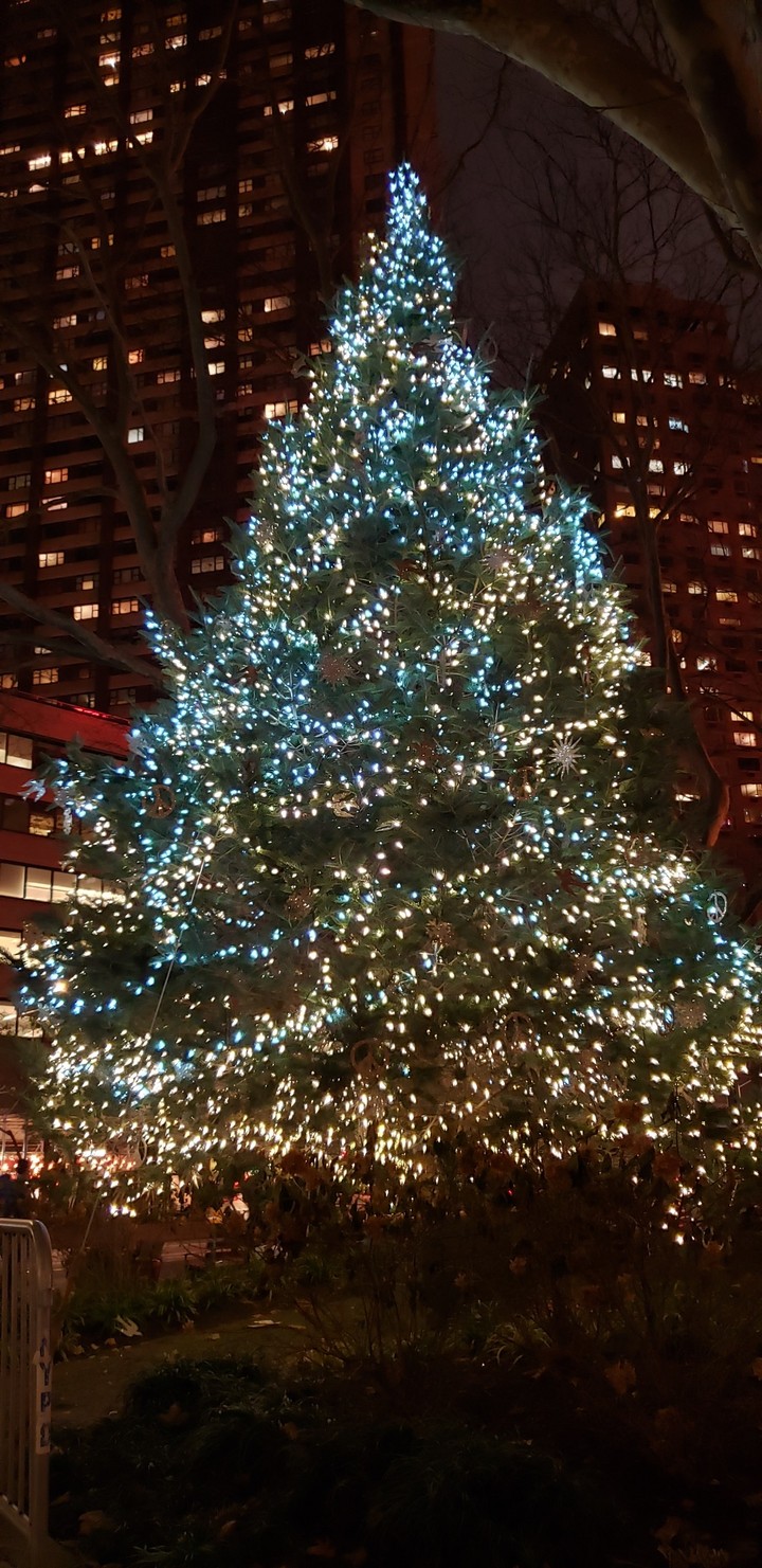Christmas time
