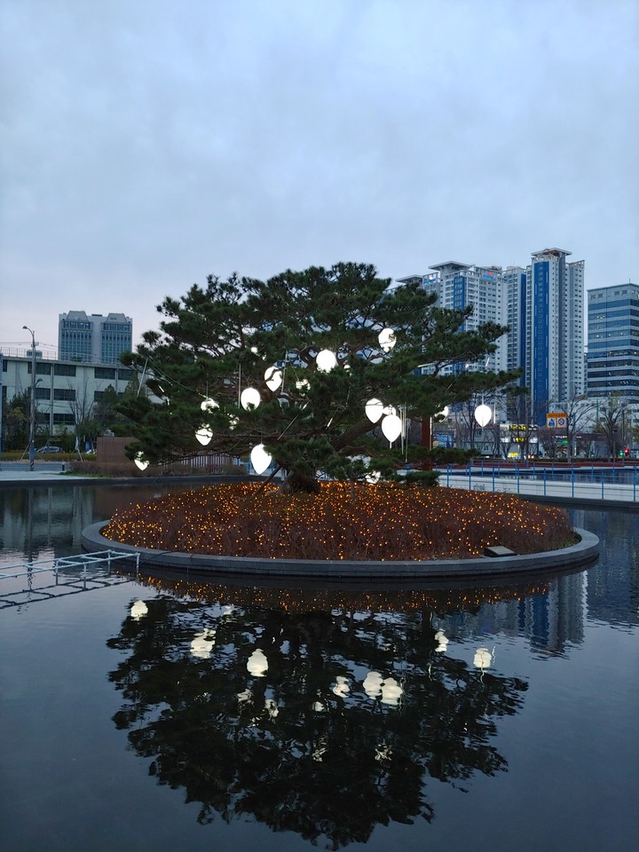 호수공원