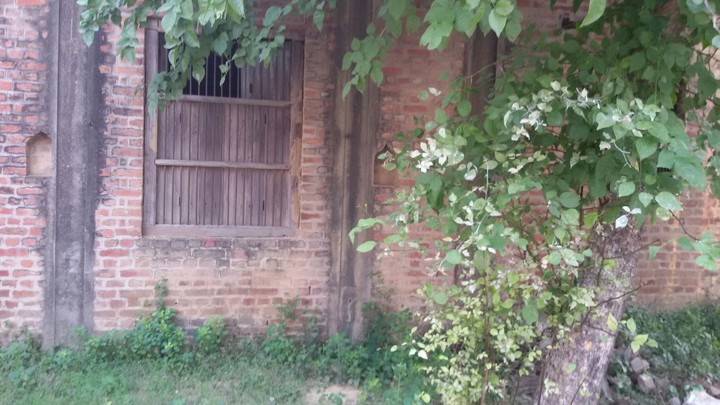 Window