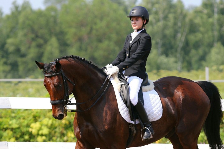 horse and girl