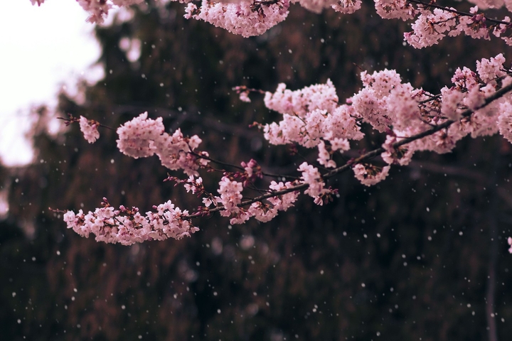 Not my picture I judt gave it a filter!