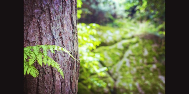 get into nature