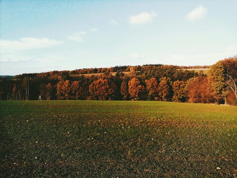 Autumn landscape