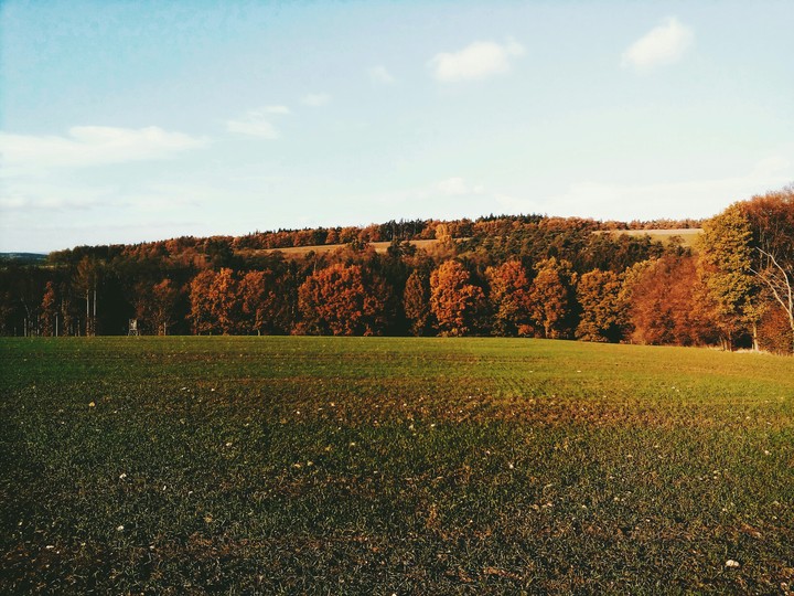 Autumn landscape