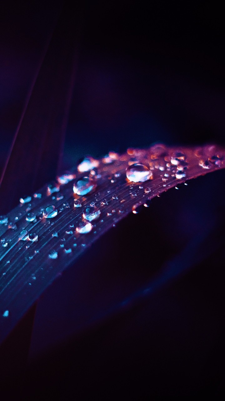 blue drop