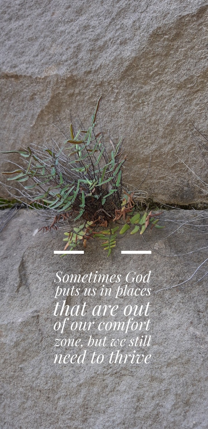 Sometimes 2
