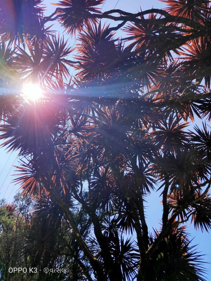 sun