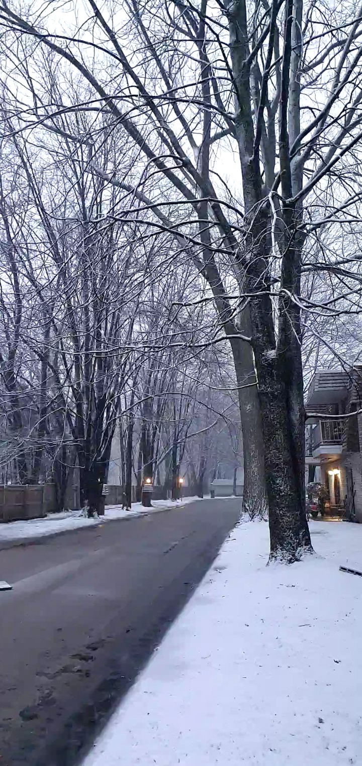 Ohio Snow, North Olmsted.