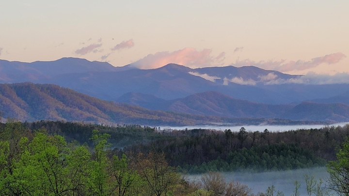 Davistown NC