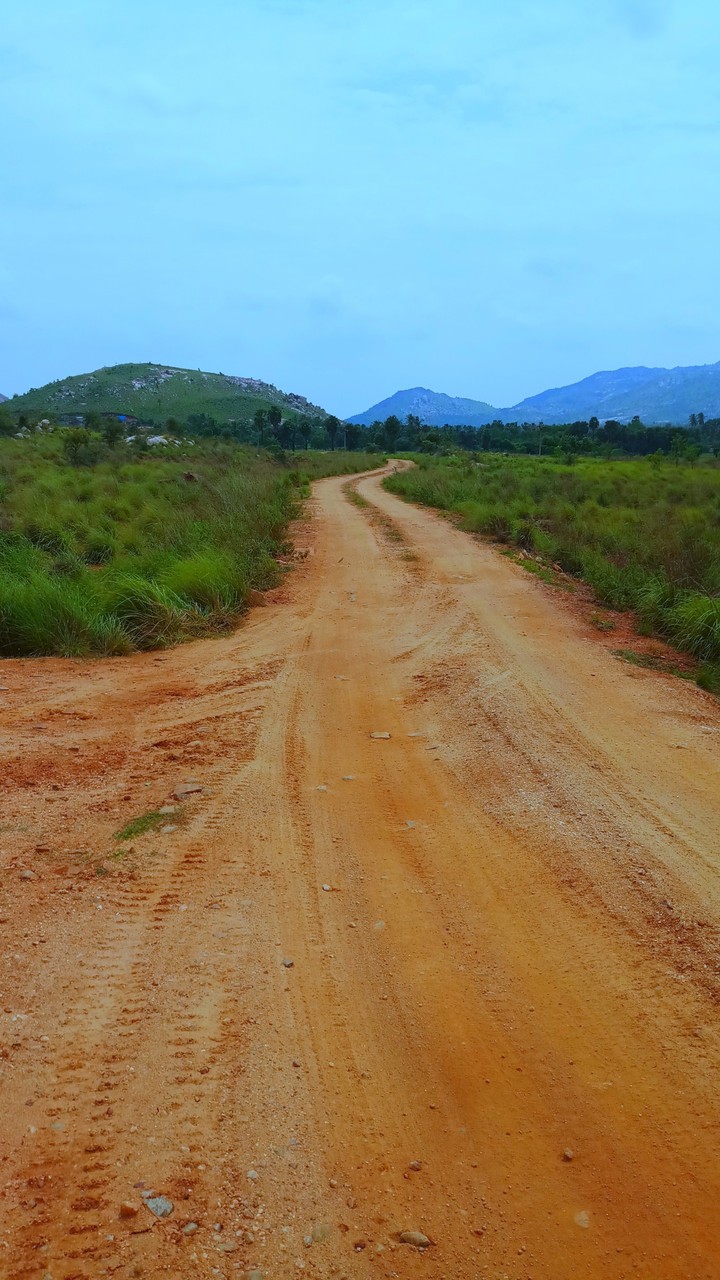 Road to Nowhere
