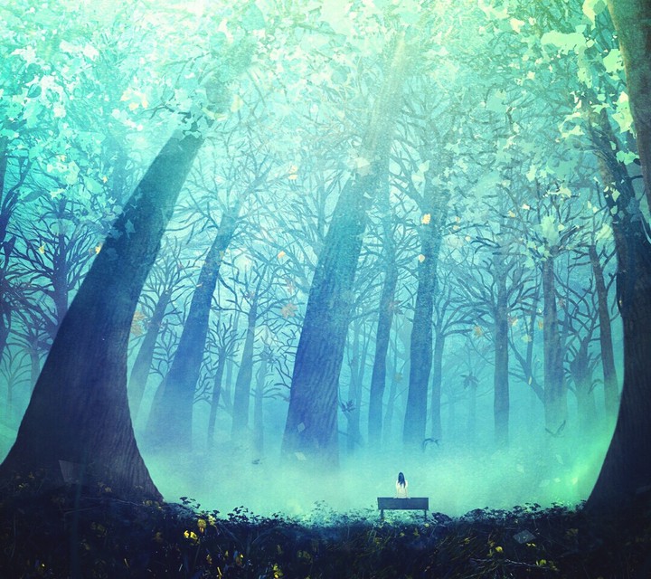 The Forest!?