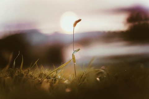 backlighting, 陽光桌布