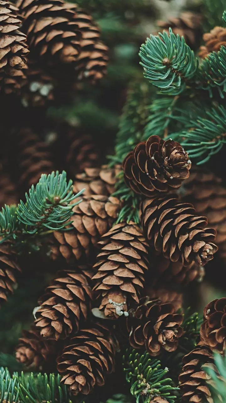 Love Nature