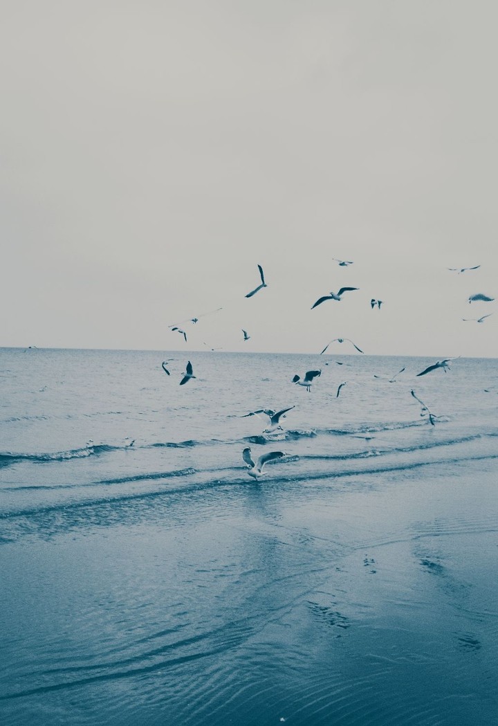 Jurmala
