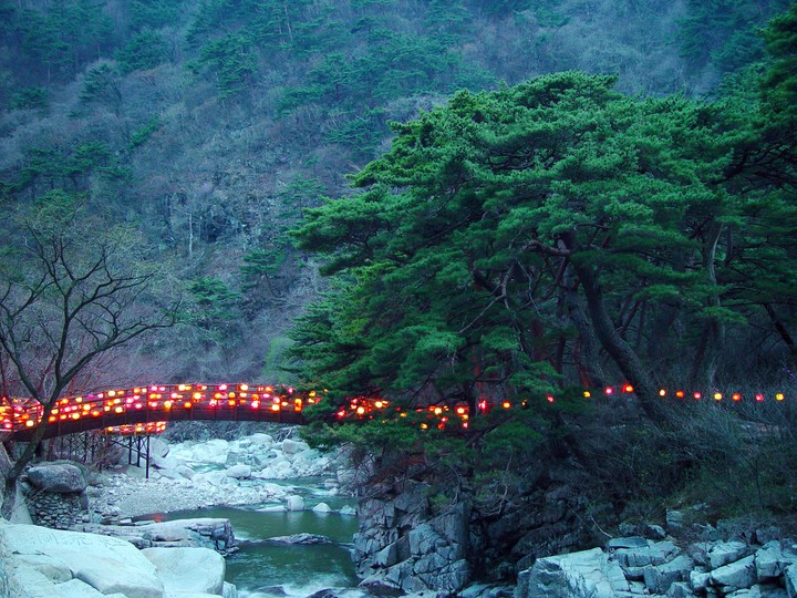 Bridge