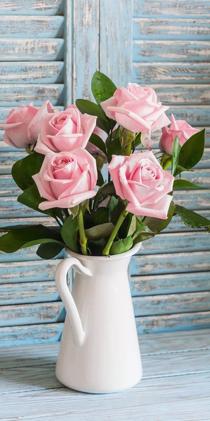 ROSES