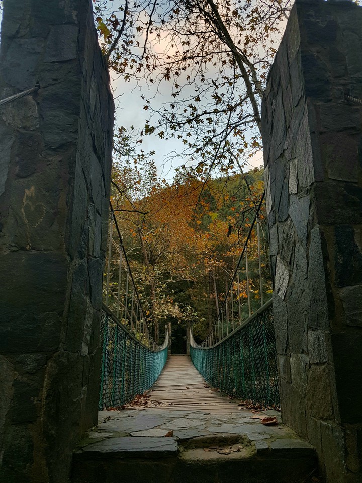 bridge