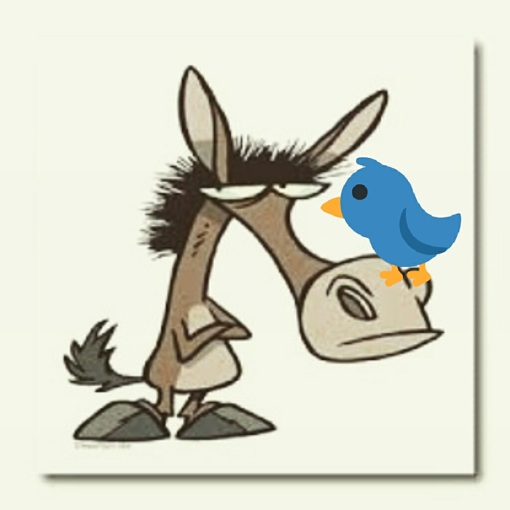 Twitter this!