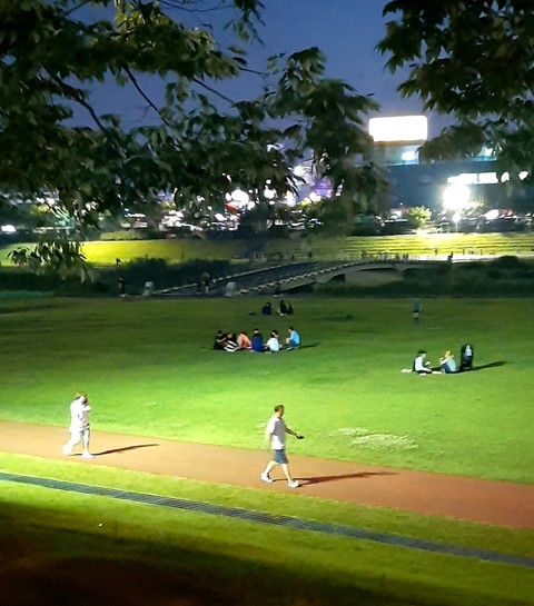 tapety night, park