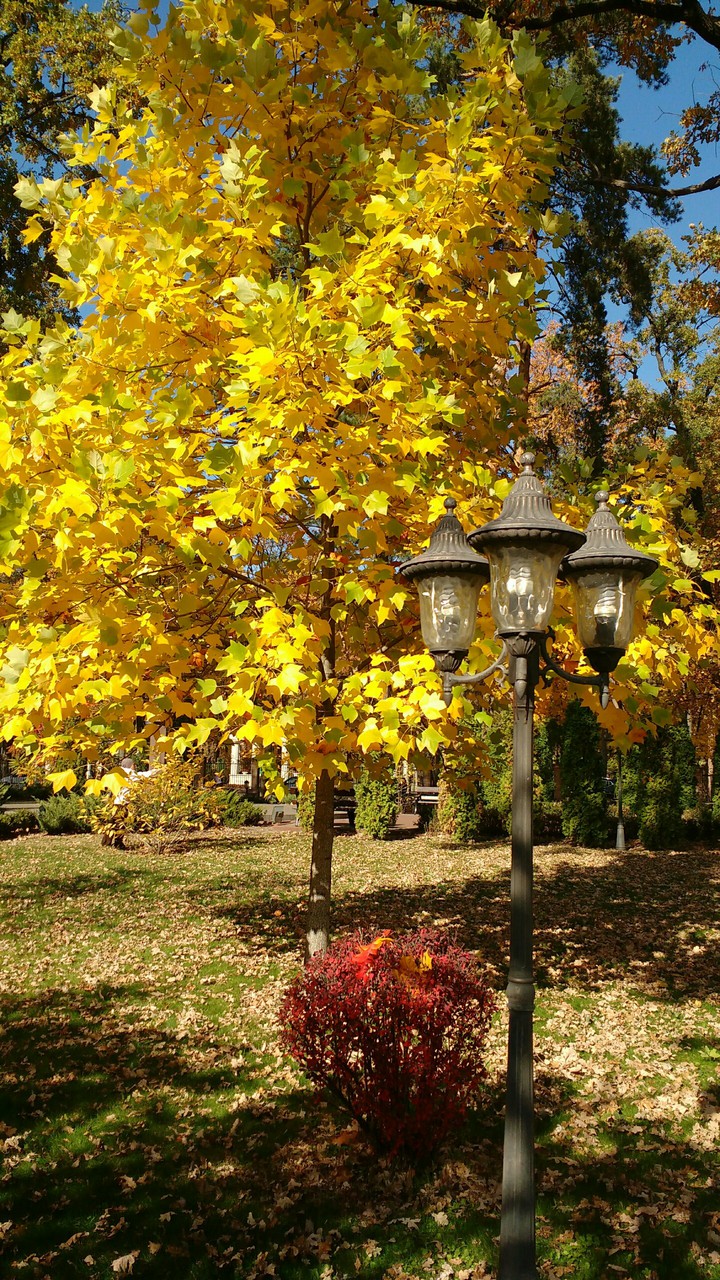 autumn