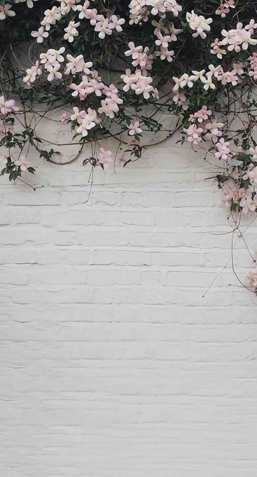 wall