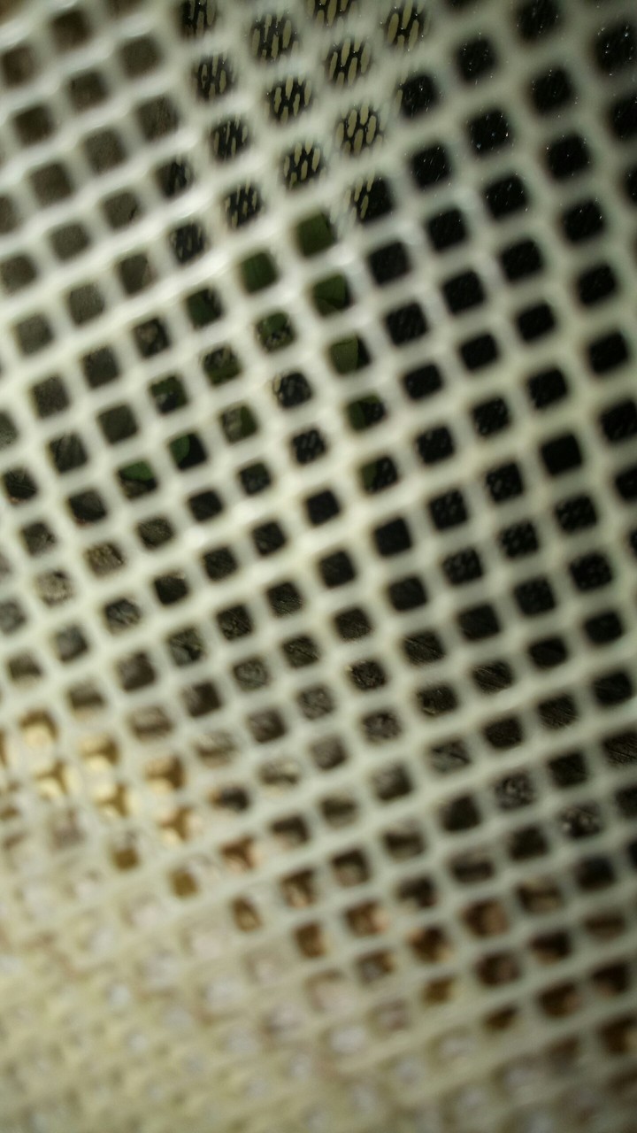 View of Net