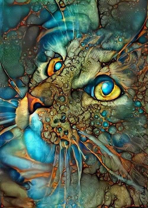 Gato Mágico