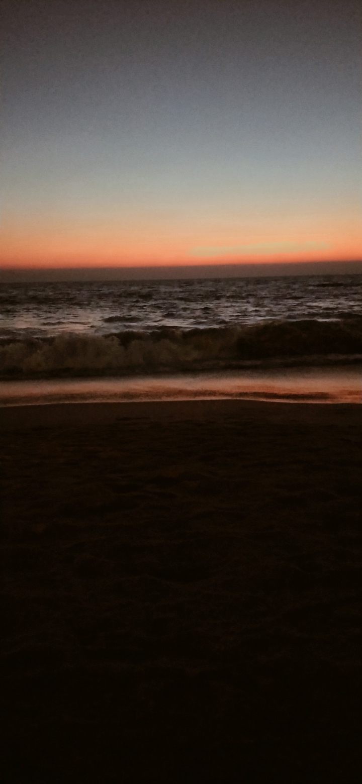 the beauty of the world