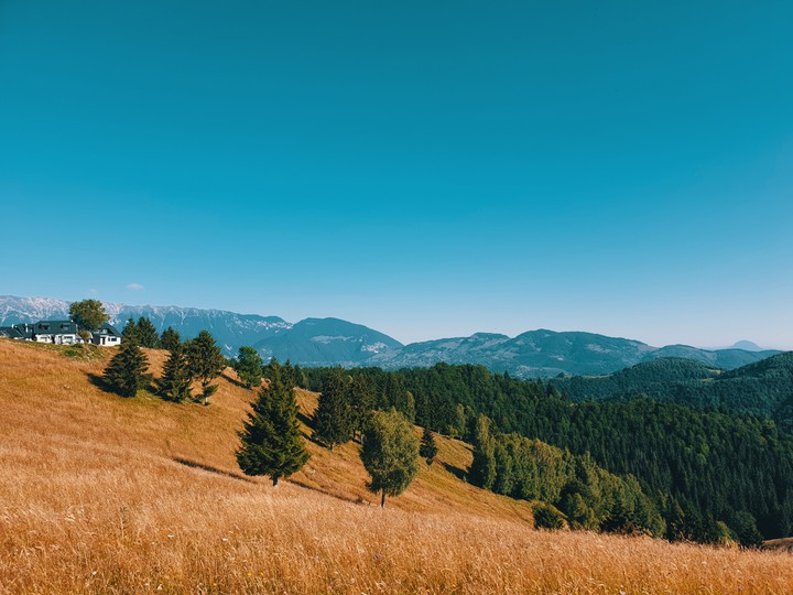 Hills and trees