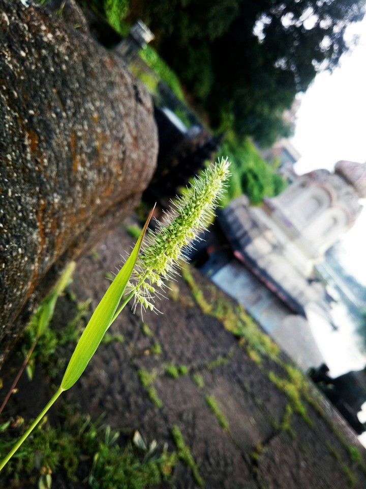 focus