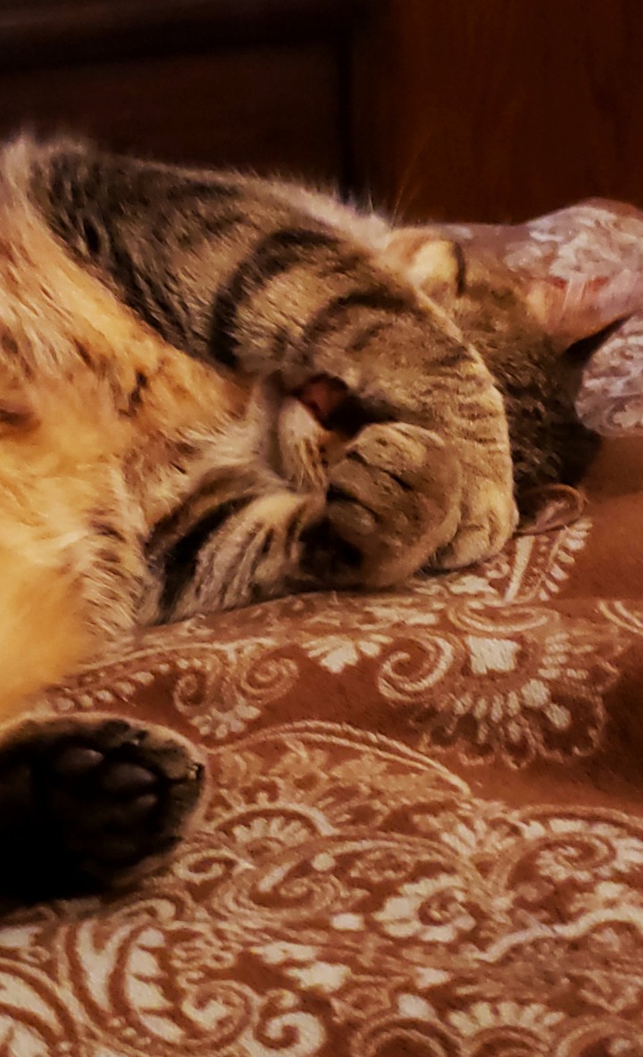 I'm so tired