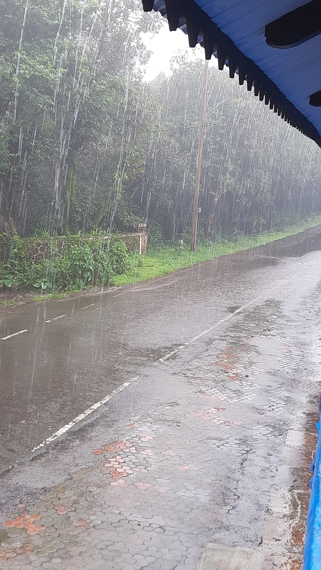 Rain