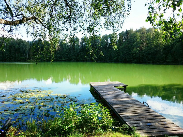 Lake