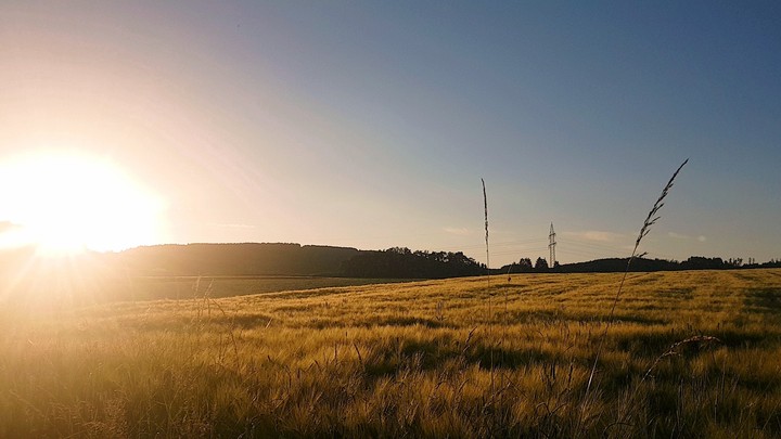 sunset
