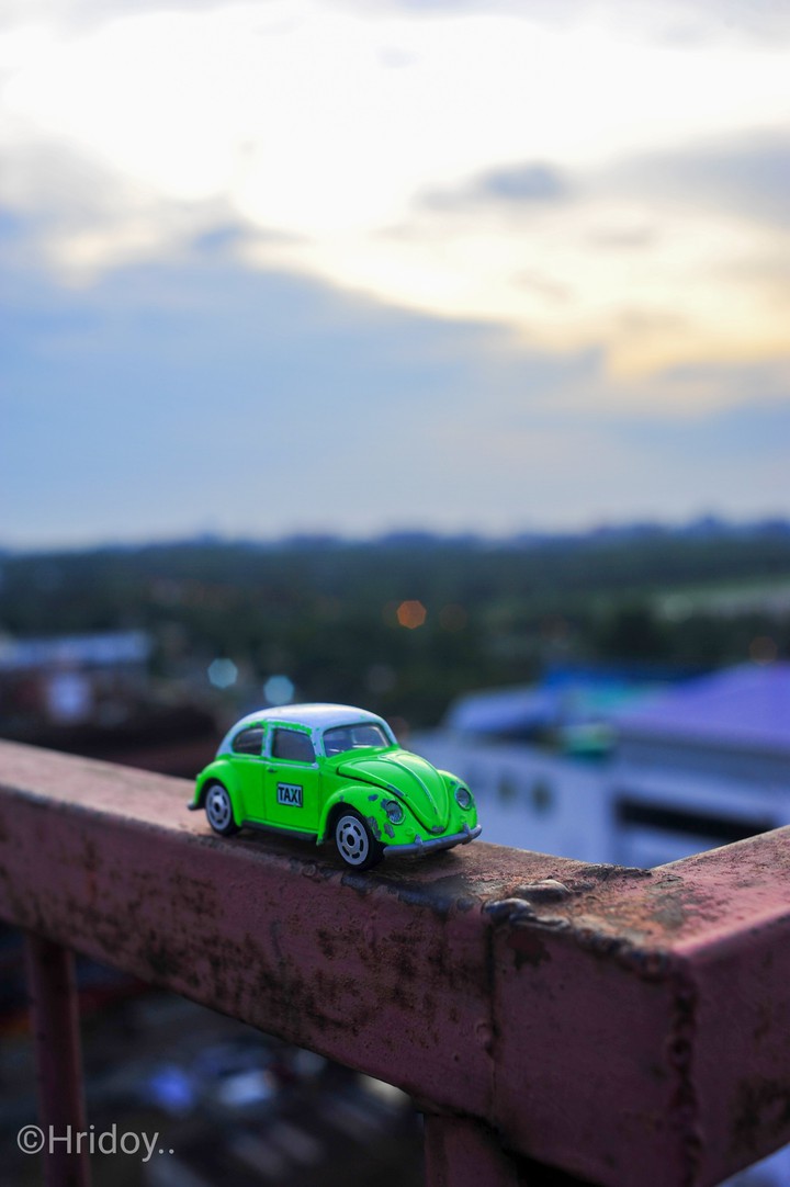 toy world