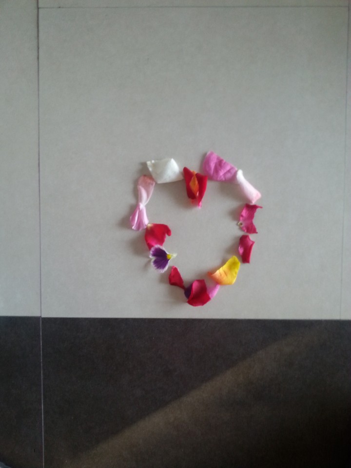 heart