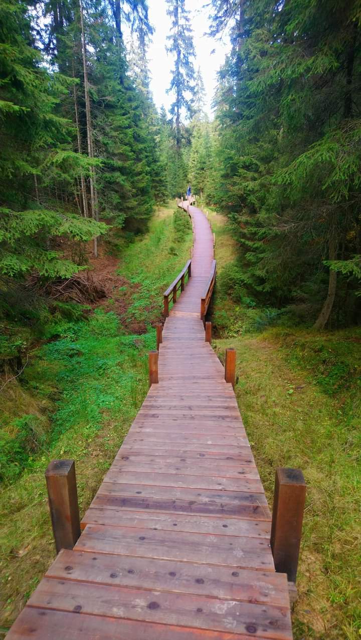natur